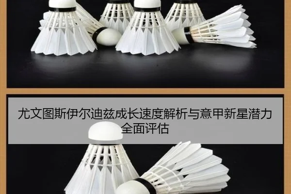 尤文图斯伊尔迪兹成长速度解析与意甲新星潜力全面评估